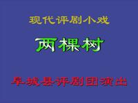 小评剧【两棵树】