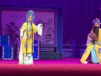 评剧【打金枝劝万岁】高红莲饰演唐王 评剧【打金枝劝万岁】高红莲饰演唐王