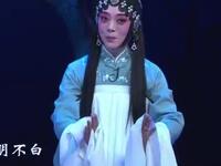 评剧【包公三勘蝴蝶梦】第七场 评剧【包公三勘蝴蝶梦】第七场