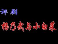 评剧【杨乃武与小白菜】石家庄评剧团演出 评剧【杨乃武与小白菜】石家庄评剧团演出