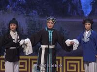 评剧【同根异果】天津评剧院三团 评剧【同根异果】天津评剧院三团